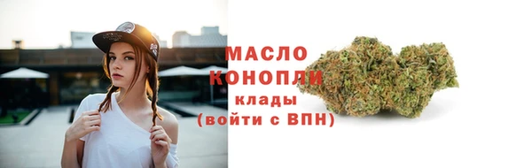 индика Богданович