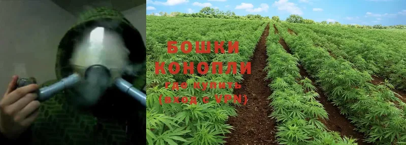 Бошки Шишки SATIVA & INDICA  где купить наркоту  Астрахань 